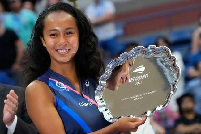 纳的防线施 纳的防线施